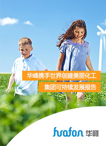 �ɳ�����չ